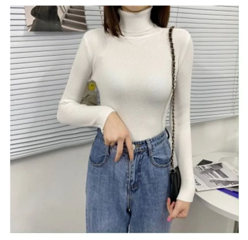 Women Turtleneck Sweaters Autumn Winter Korean Slim Pullover Women Basic Tops Casual Soft Knit Sweater Soft Warm Jumper